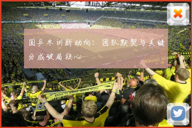国乒冬训新动向：团队默契与关键分成破局核心