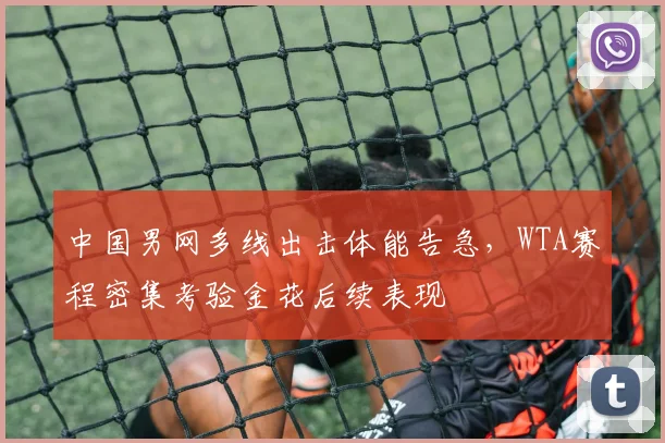 中国男网多线出击体能告急，WTA赛程密集考验金花后续表现